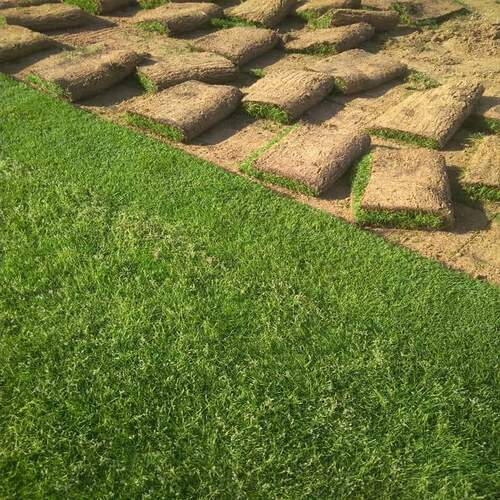 عشب صناعي في دبي