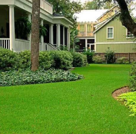 تركيب عشب طبيعي في العين